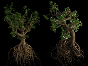 不気味な魔女の木 3Dモデル