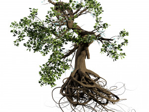 Spooky Witch trees Modelo 3D