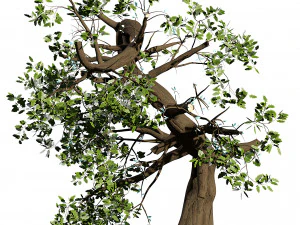 Pohon Penyihir Seram Model 3D