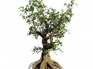Spooky Witch trees Modelo 3D