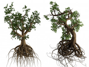 Spooky Witch trees Modelo 3D