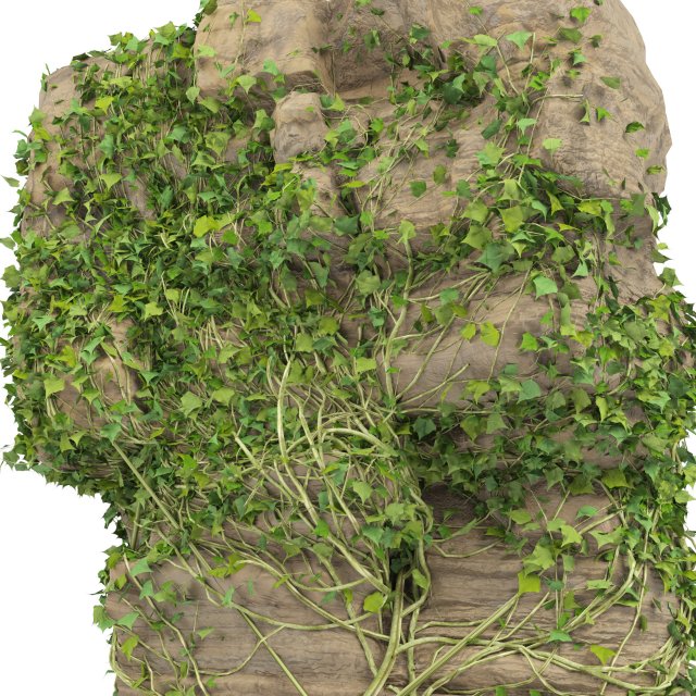 Mossy rocks and plants 3D model