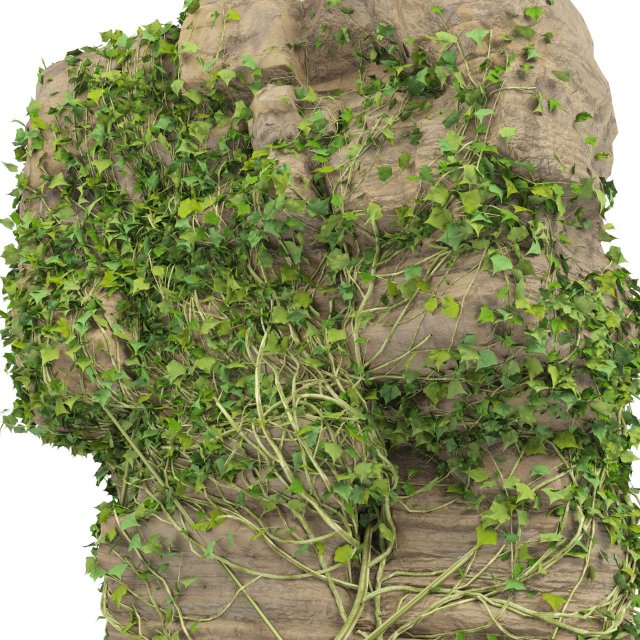 Ivy-Covered Rock Model 3D .c4d .max .obj .3ds .fbx .stl .blend 