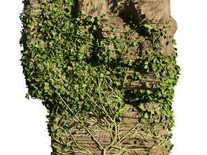 Ivy-Covered Rock Model 3D