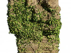 Ivy-Covered Rock 3D Model