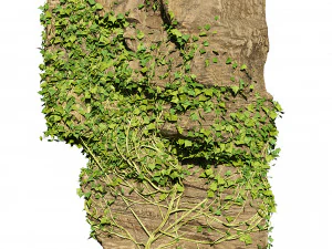 Ivy-Covered Rock 3D Model