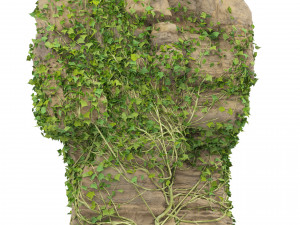 Ivy-Covered Rock Model 3D