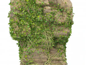 Ivy-Covered Rock 3D Model