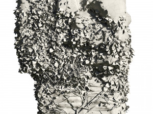 Ivy-Covered Rock Model 3D