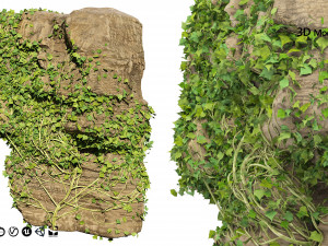 Ivy-Covered Rock Model 3D