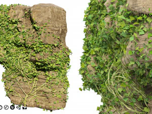 Ivy-Covered Rock 3D Model