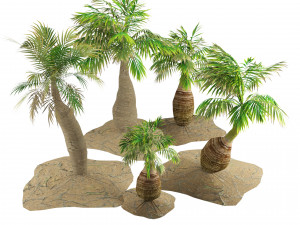 Bottle-shaped palm 3D मॉडल