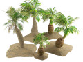 Bottle-shaped palm 3D Модель