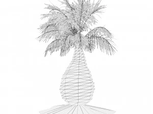 Bottle-shaped palm 3D Model