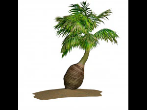 Bottle-shaped palm 3D Model
