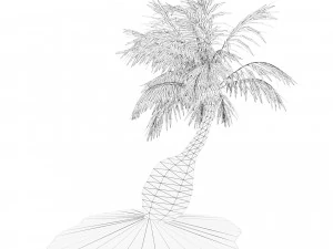 Bottle-shaped palm 3D Model