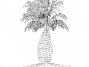 Bottle-shaped palm 3D Model
