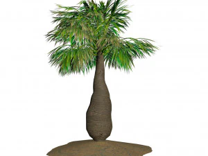 Bottle-shaped palm 3D Model