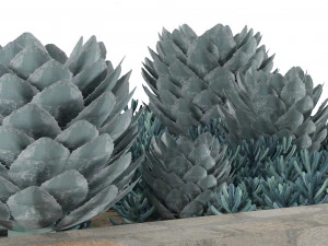 Giardino succulento in una fioriera quadrata Modello 3D