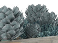 Succulent Garden in a Square Planter 3D Model
