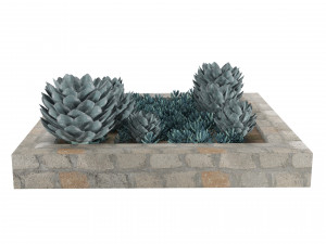 Succulent Garden in a Square Planter 3D Model