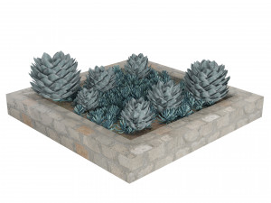 Succulent Garden in a Square Planter 3D Model
