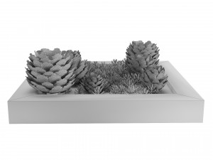 Succulent Garden in a Square Planter 3D Model