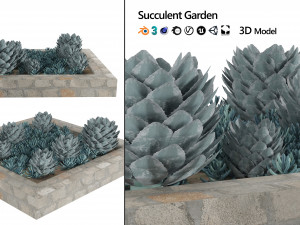Succulent Garden in a Square Planter 3D Model