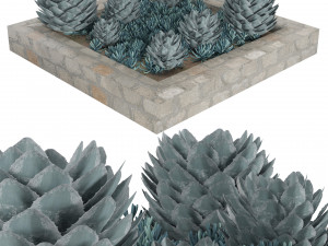Succulent Garden in a Square Planter 3D Model