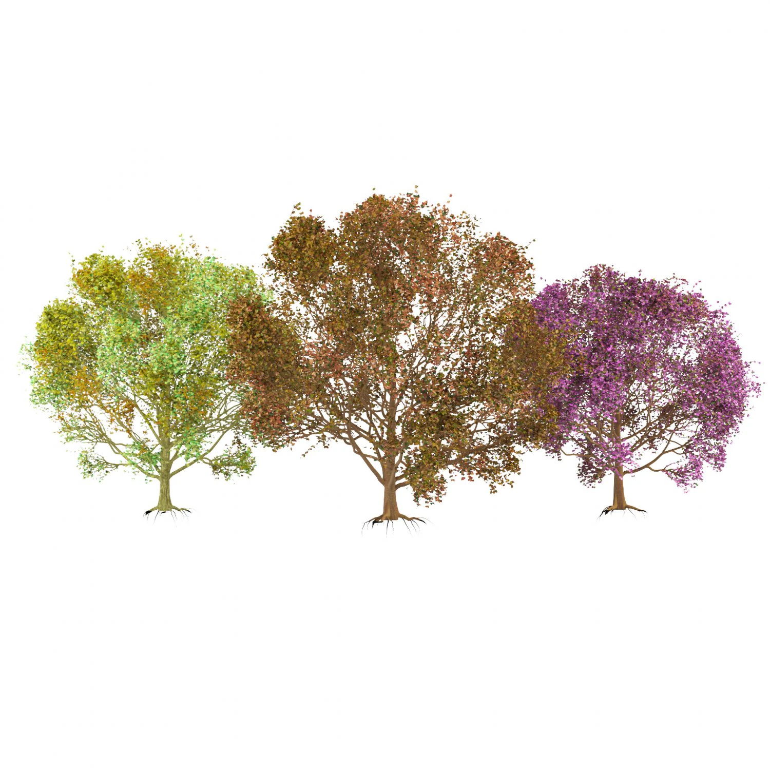 3D Trees of All Seasons 3D Model .c4d .max .obj .3ds .fbx .stl .blend