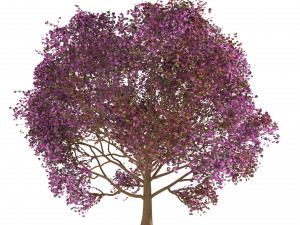 3D Trees of All Seasons 3D Модель
