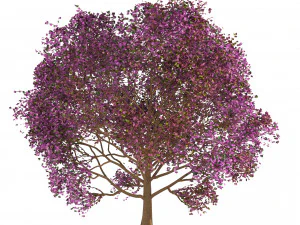 3D Trees of All Seasons 3D Model