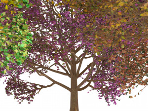 3D Trees of All Seasons 3D Модель