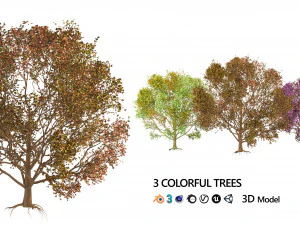 3D Trees of All Seasons 3D Model