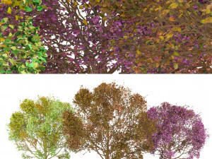 3D Trees of All Seasons 3D Model