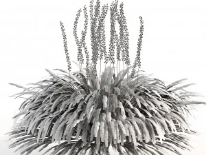 Border grass lilyturf 3d mode 3D Model