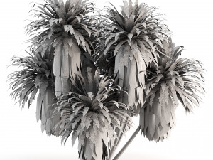Compatible Mountain Cabbage Model 3D