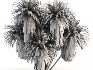 Compatible Mountain Cabbage 3D Model