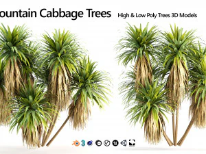 Compatible Mountain Cabbage 3D Model