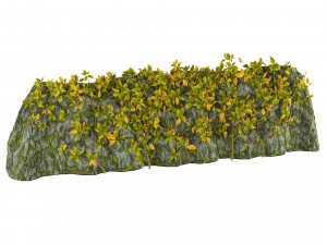 Vine Climber Plant on Ladder and Rock 3D Model