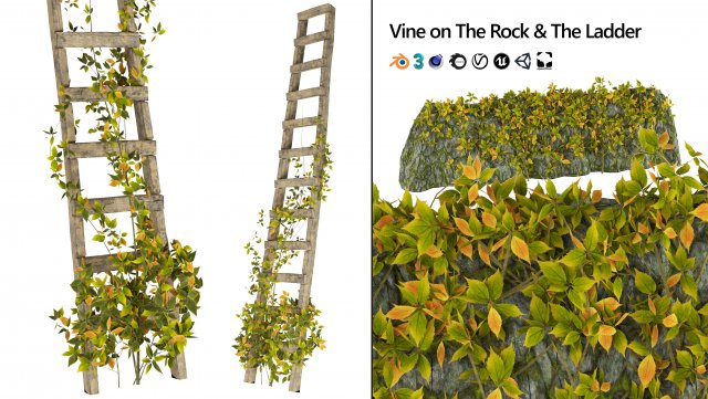Vine Climber Plant on Ladder and Rock 3D Model .c4d .max .obj .3ds .fbx .stl .blend 