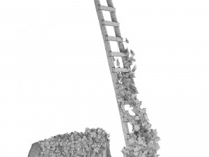 Vine Climber Plant on Ladder and Rock 3D Model