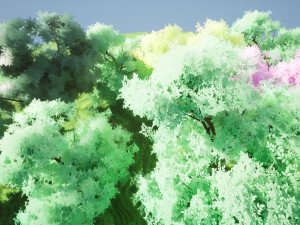 Stylized Peaceful Colorful forest 3D Model