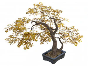 Tabletop tree pot 3D Model