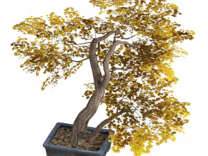 Tabletop tree pot 3D Model