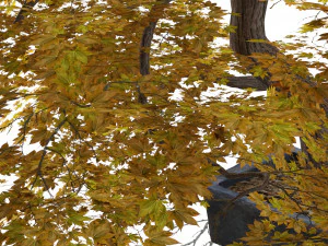 Tabletop tree pot 3D Model