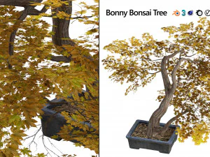 Tabletop tree pot 3D Model