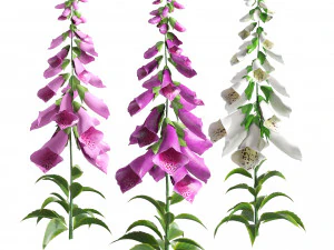 多彩低聚手套花 3D 模型