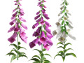Colorful Low Poly Glove Flowers 3D 모델