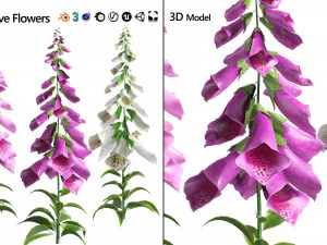 Flores coloridas de luva Low Poly Modelo 3D